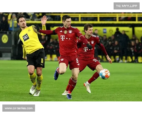 柏林联合号召球迷自带工具除雪，保障主场安全